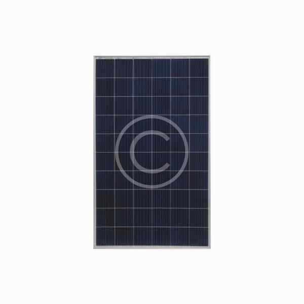 Longi Solar - Görsel 3